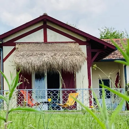 Metairie De Moutiques *