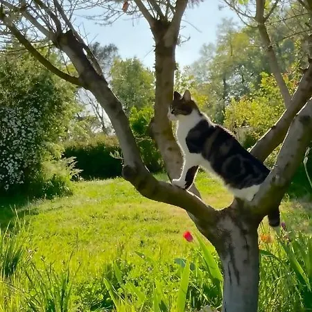 Metairie De Moutiques * Казобон