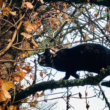 Фермерский дом Metairie De Moutiques Казобон