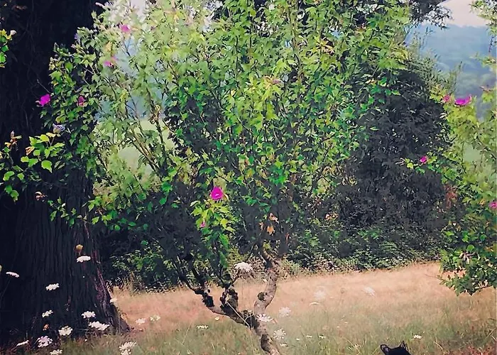 Metairie De Moutiques *