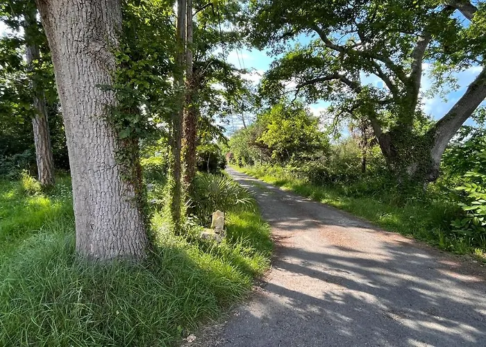 Metairie De Moutiques *