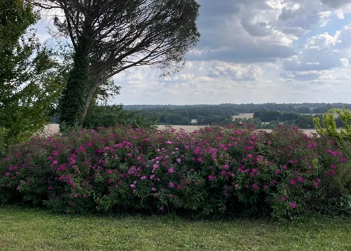 Metairie De Moutiques *