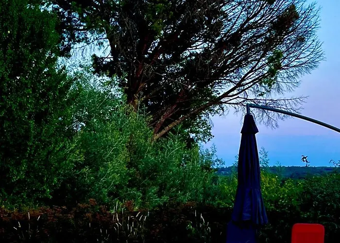 Metairie De Moutiques *