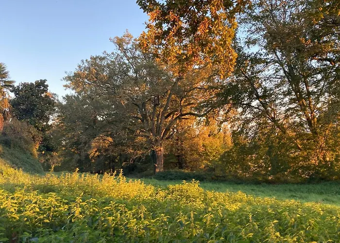 Metairie De Moutiques * Cazaubon