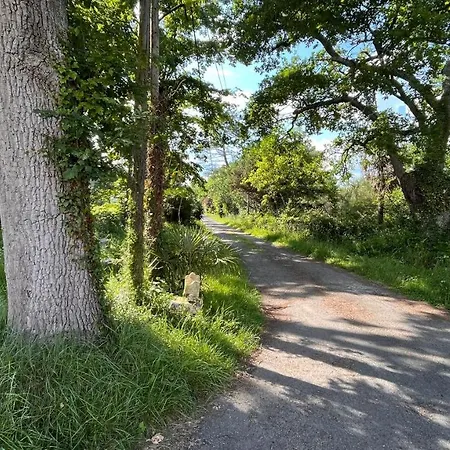 Metairie De Moutiques *