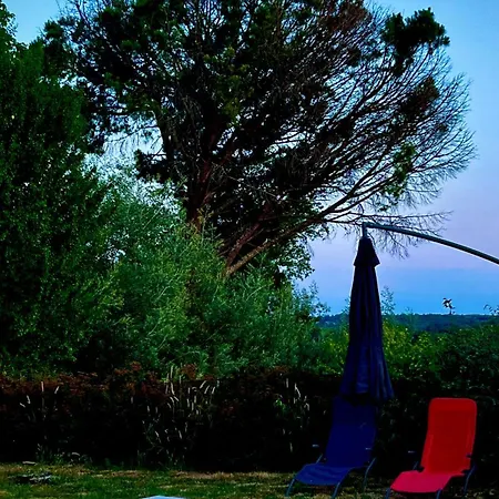 Metairie De Moutiques *